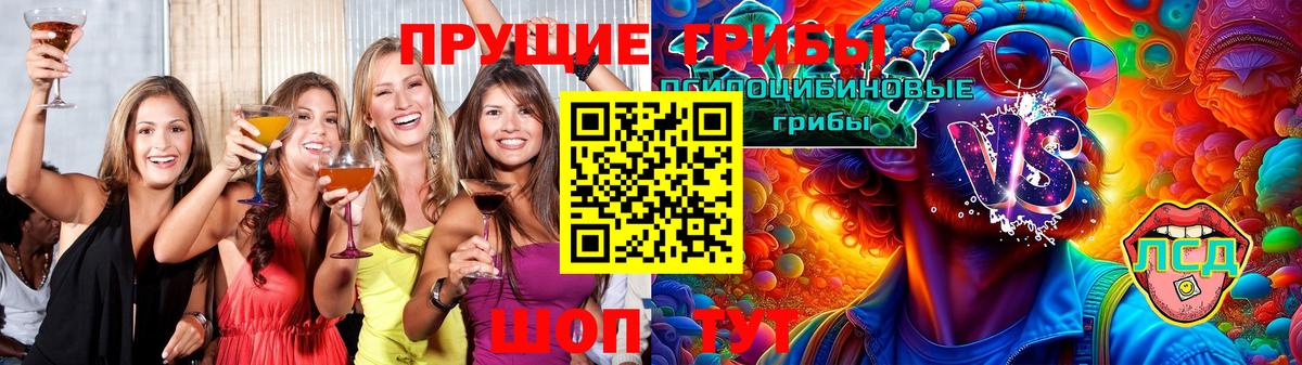 Всеволожск  Псилоцибиновые грибы MAGIC MUSHROOMS  Вход с VPN 